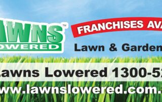 custom car magnetlawns lowered